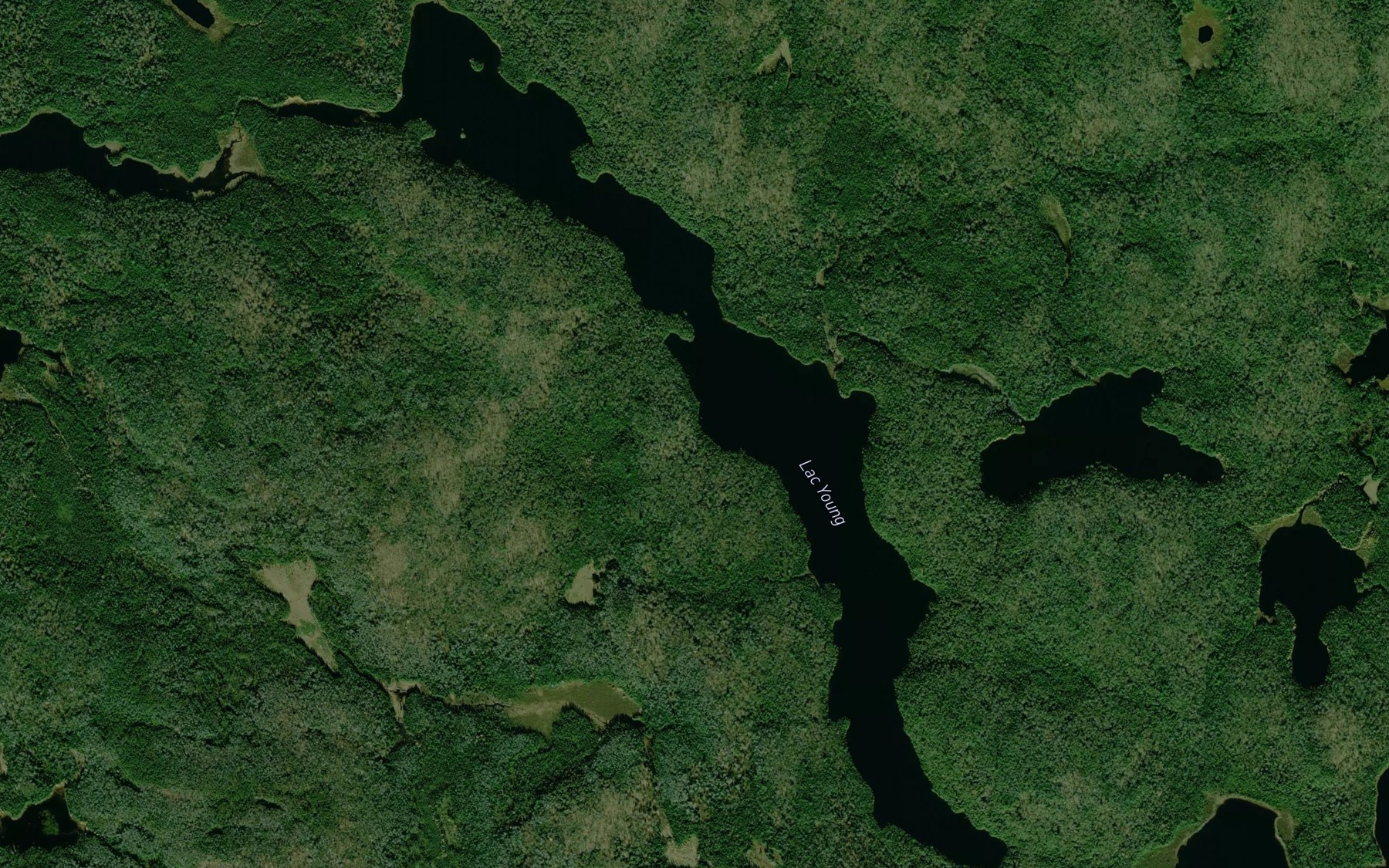 Satellite map of the Lac Young