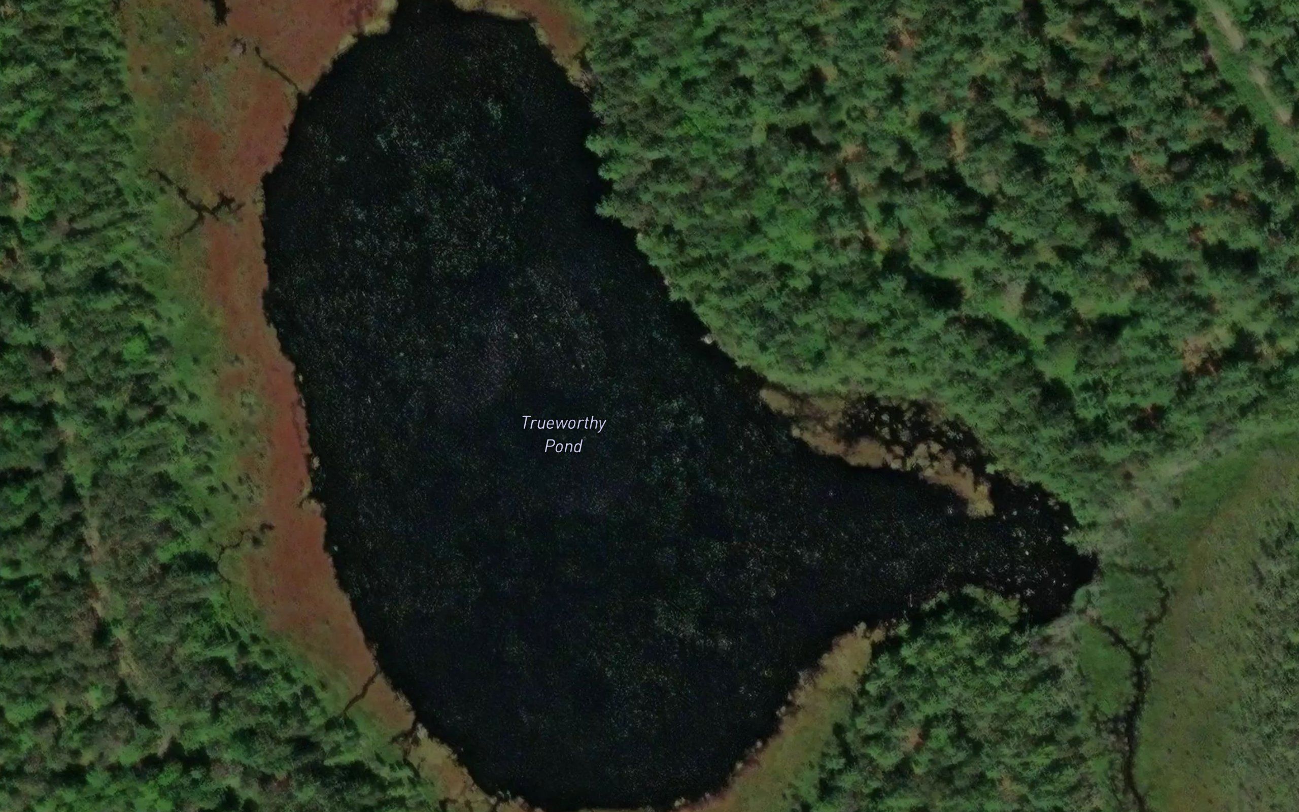 Trueworthy Pond