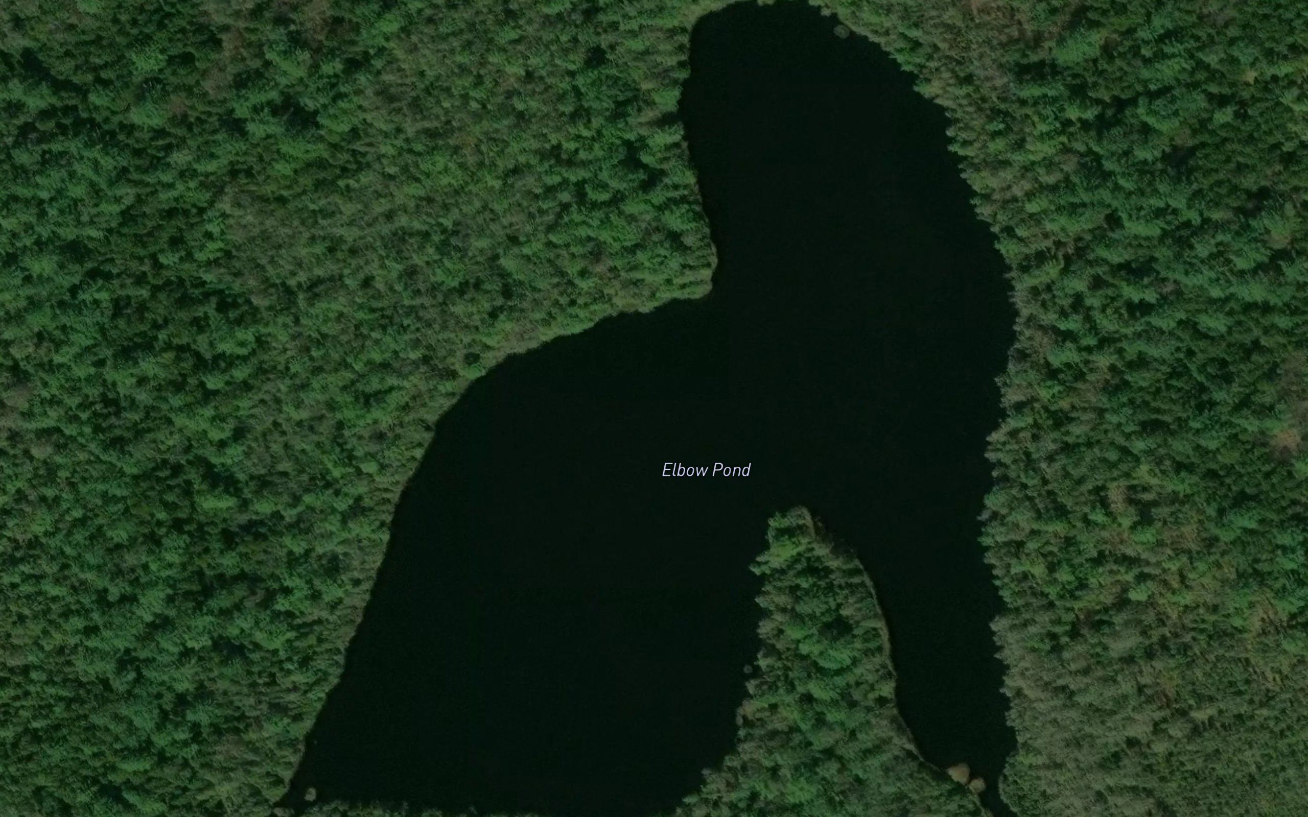 Elbow Pond