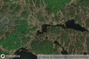 Skalbutjorn