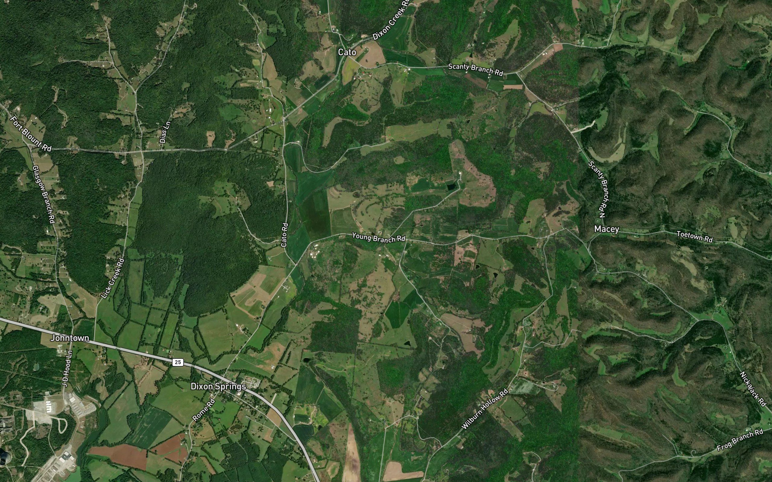 South Fork Young Branch