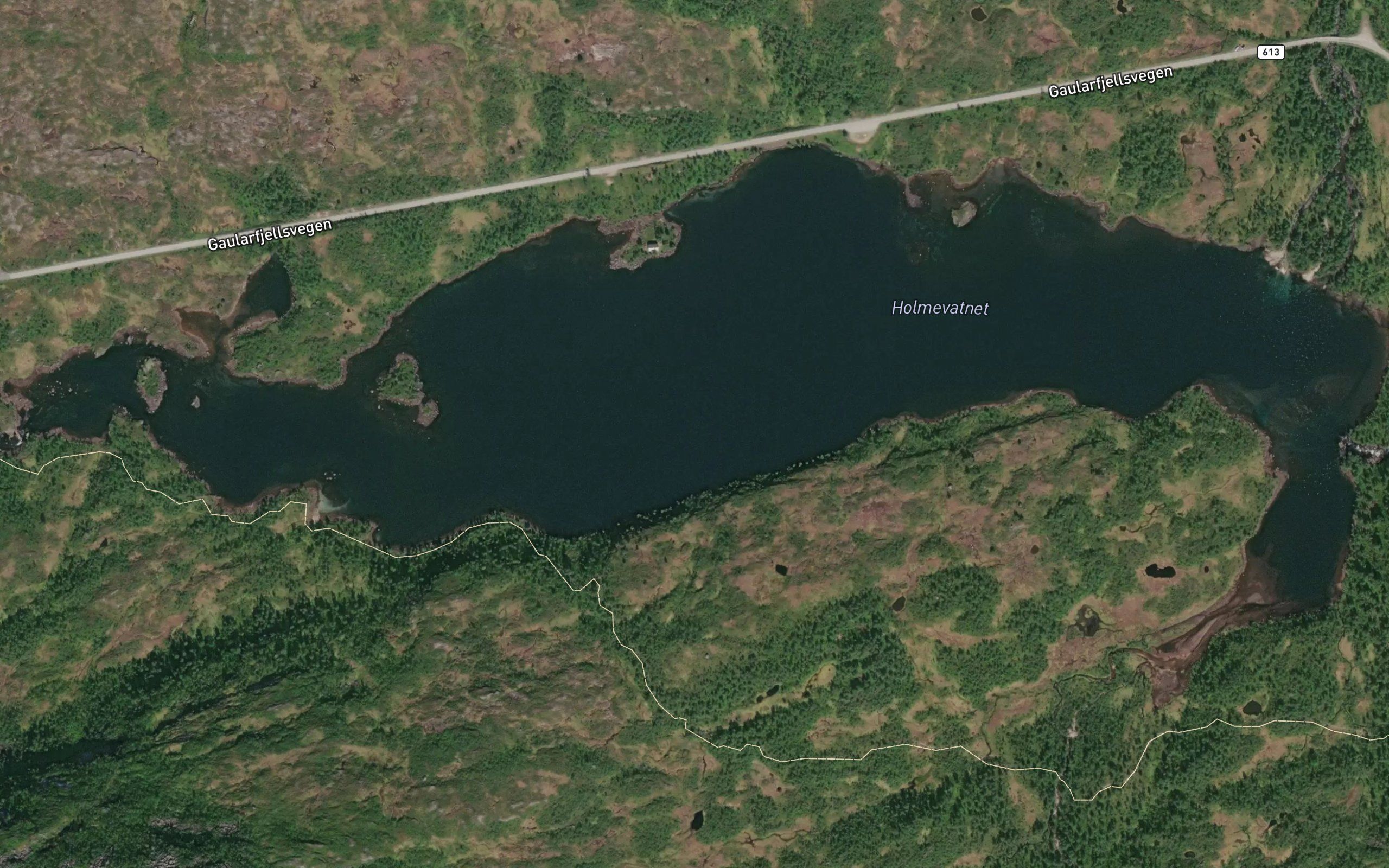 Holmevatnet