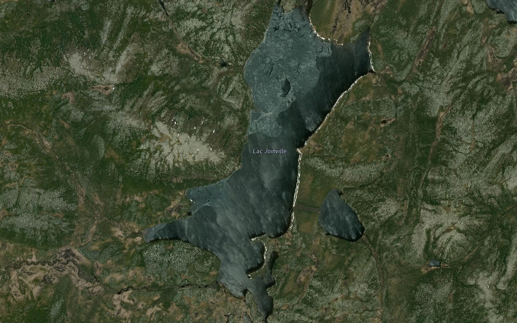 Satellite map of the Lac Joinville