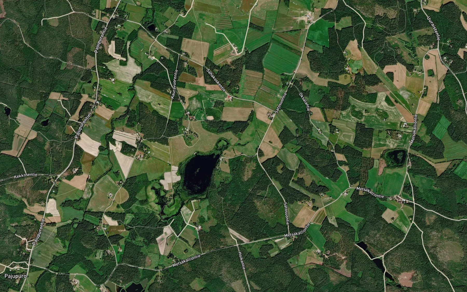 Satellite map of the Petepuro