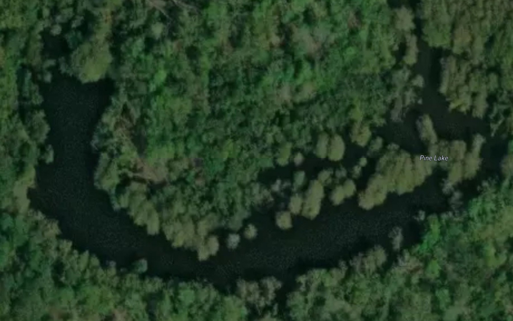 Satellite map of the Pine Lake