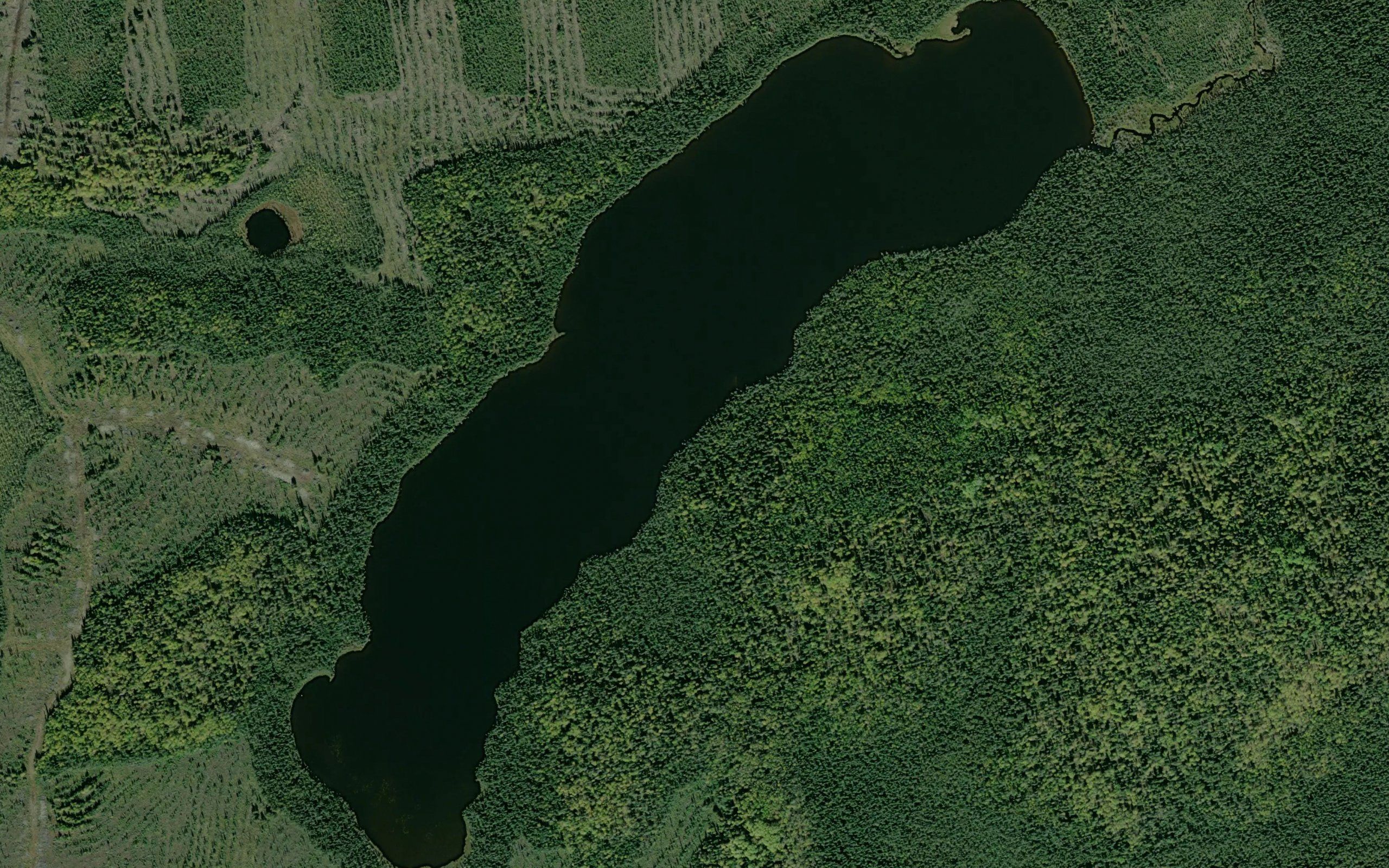 Banana Lake