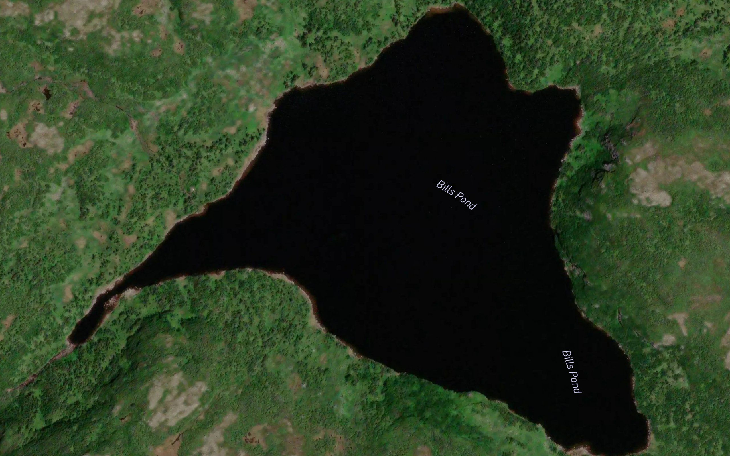 Bills Pond