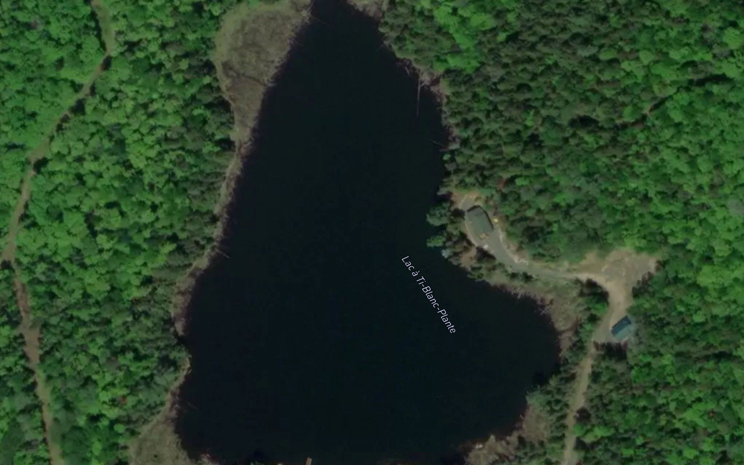 Lac a Ti-Blanc-Plante