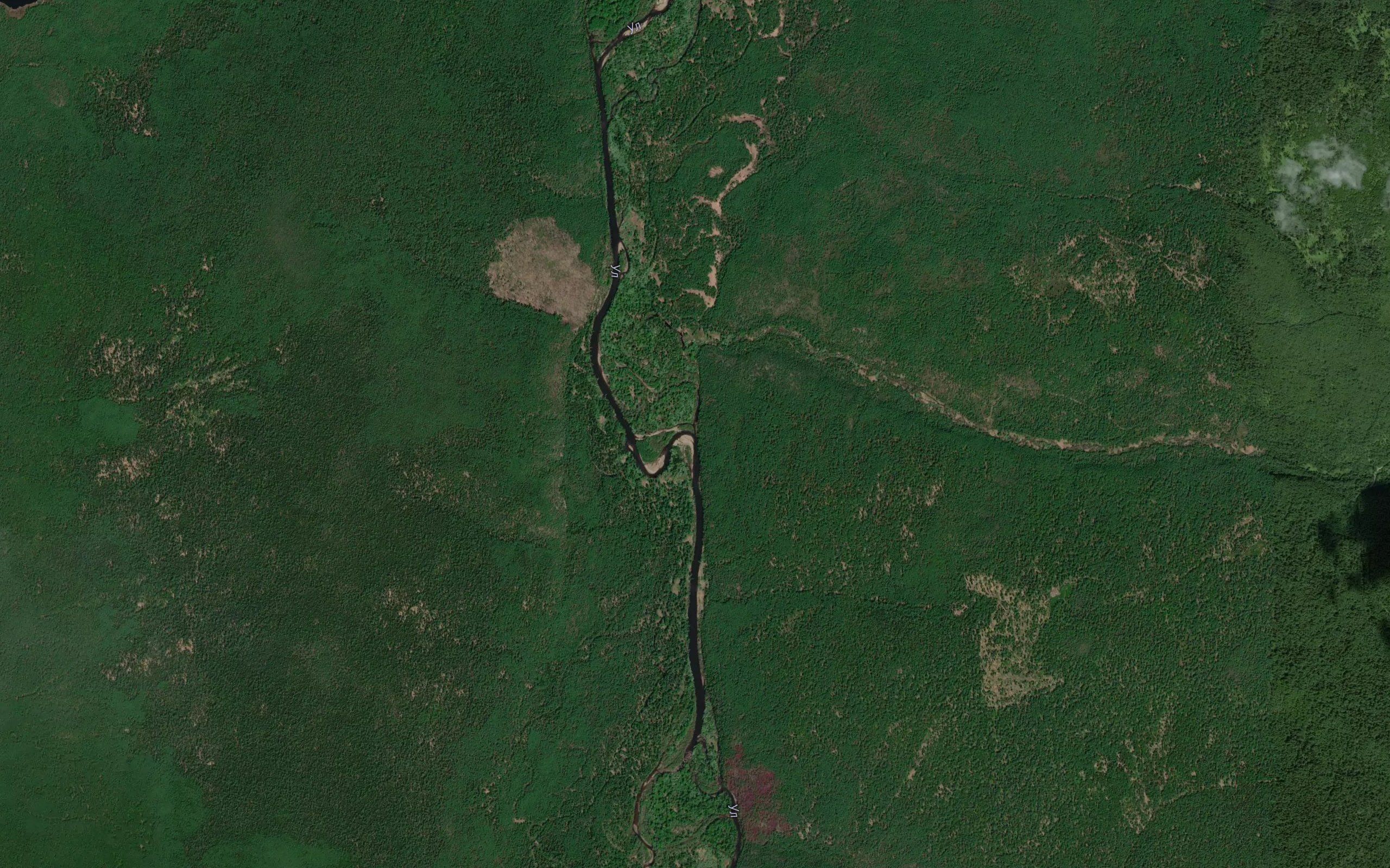 Burdakova