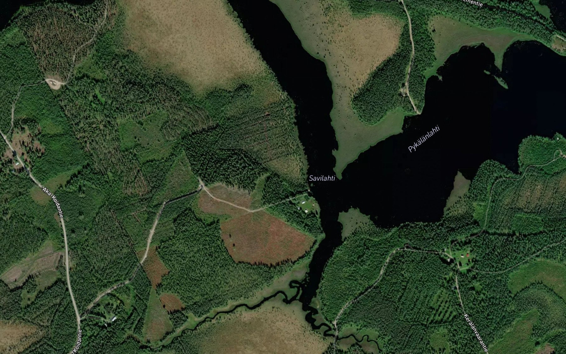 Satellite map of the Savilahti