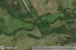 Alligator Creek