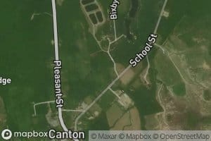 Bog Brook