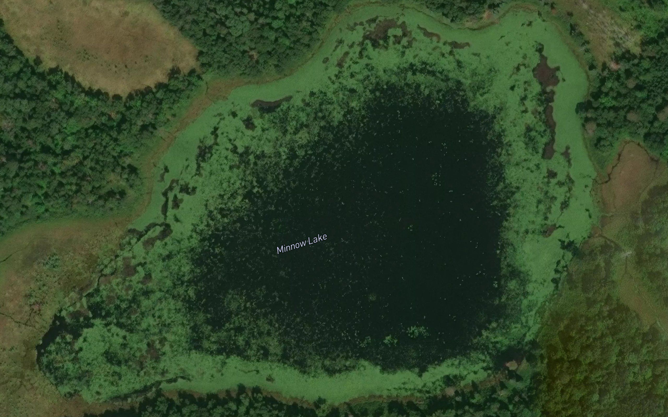 Minnow Lake