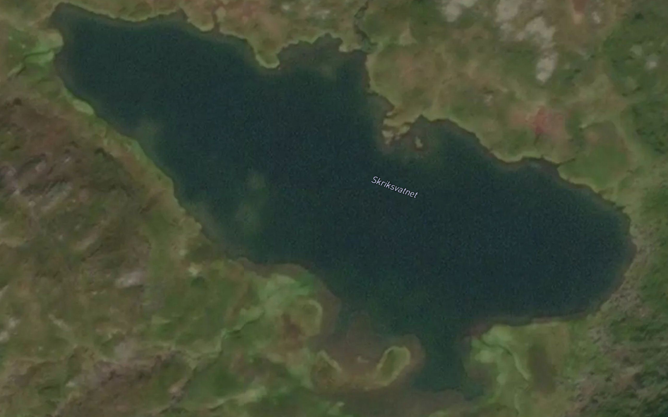 Skriksvatnet