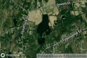 Coon Tree Pond
