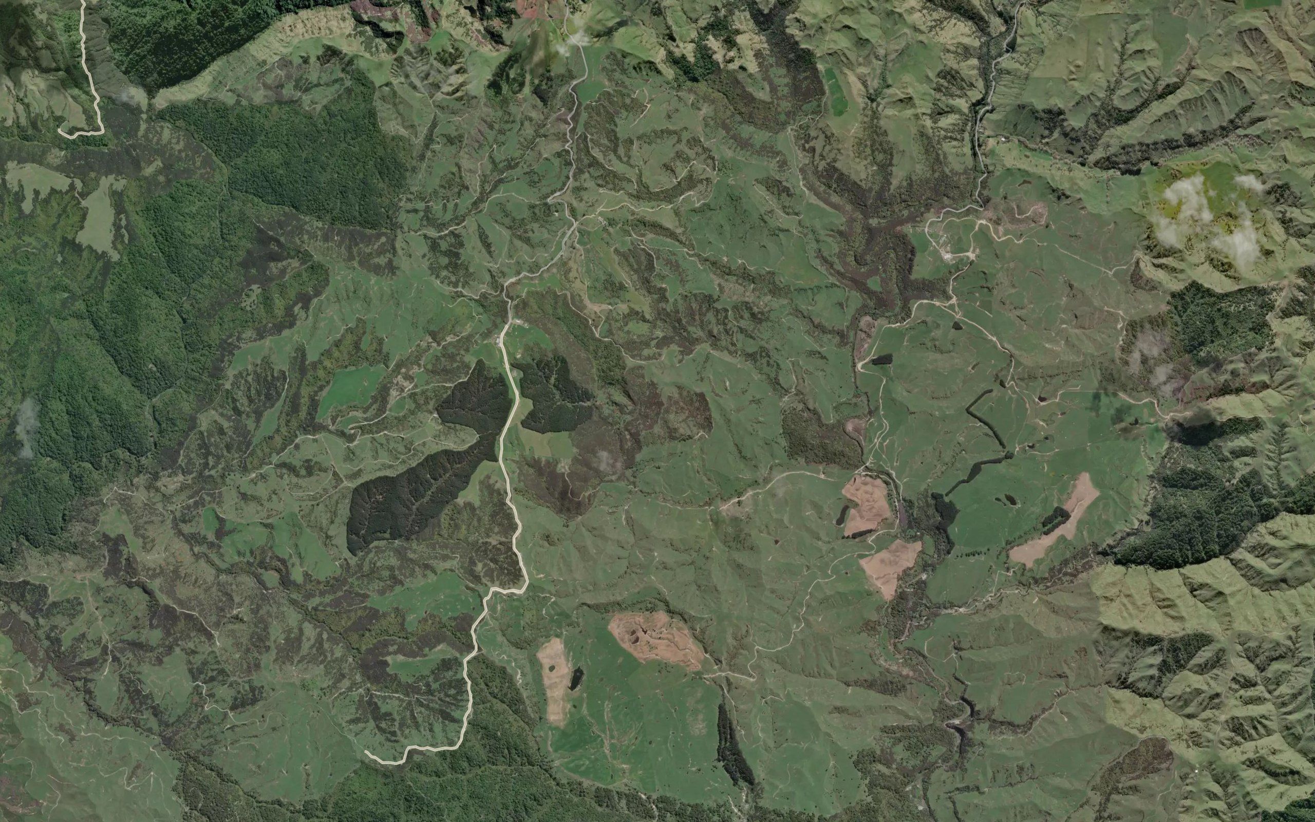 Paparoa Stream