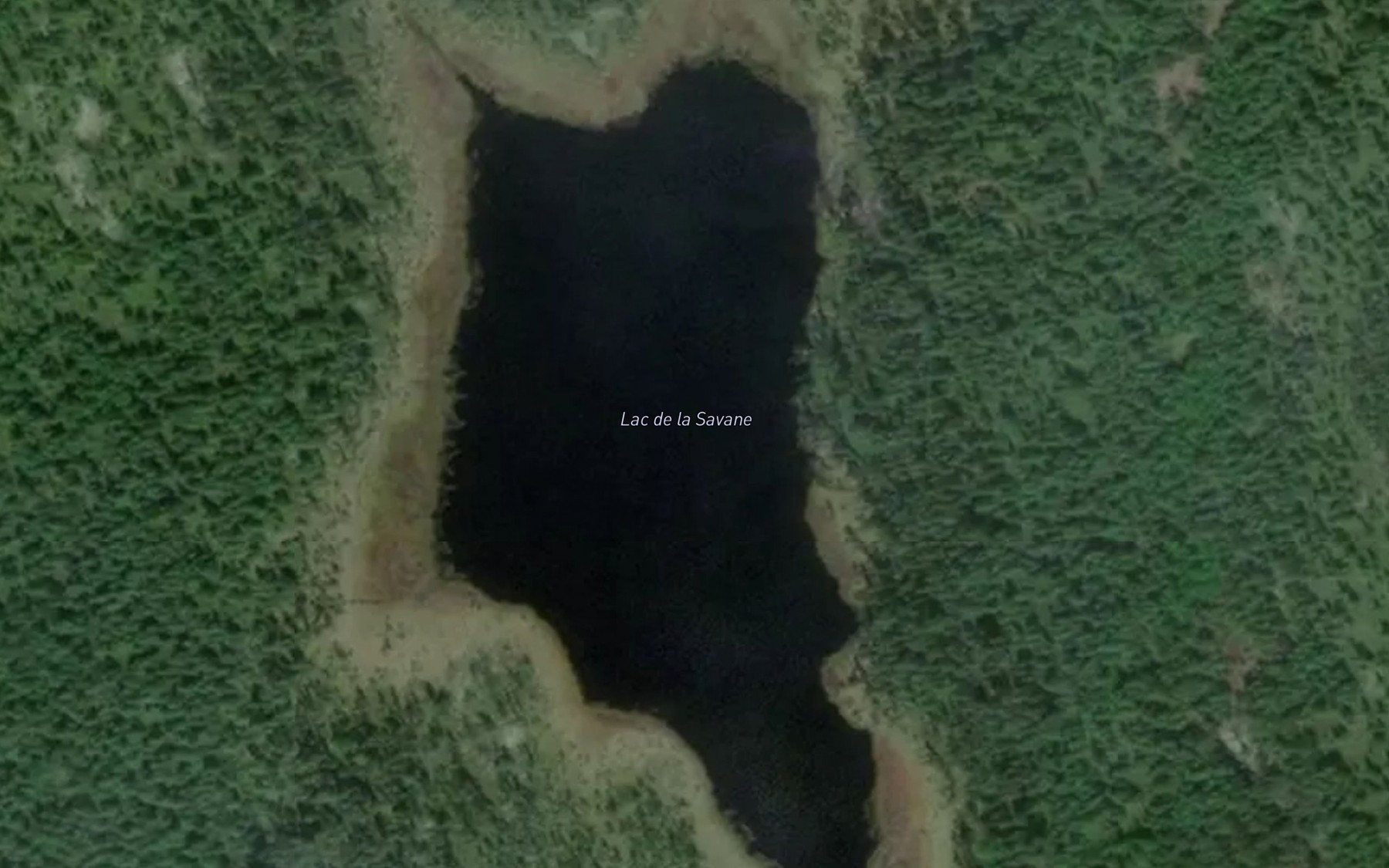 Satellite map of the Lac de la Savane