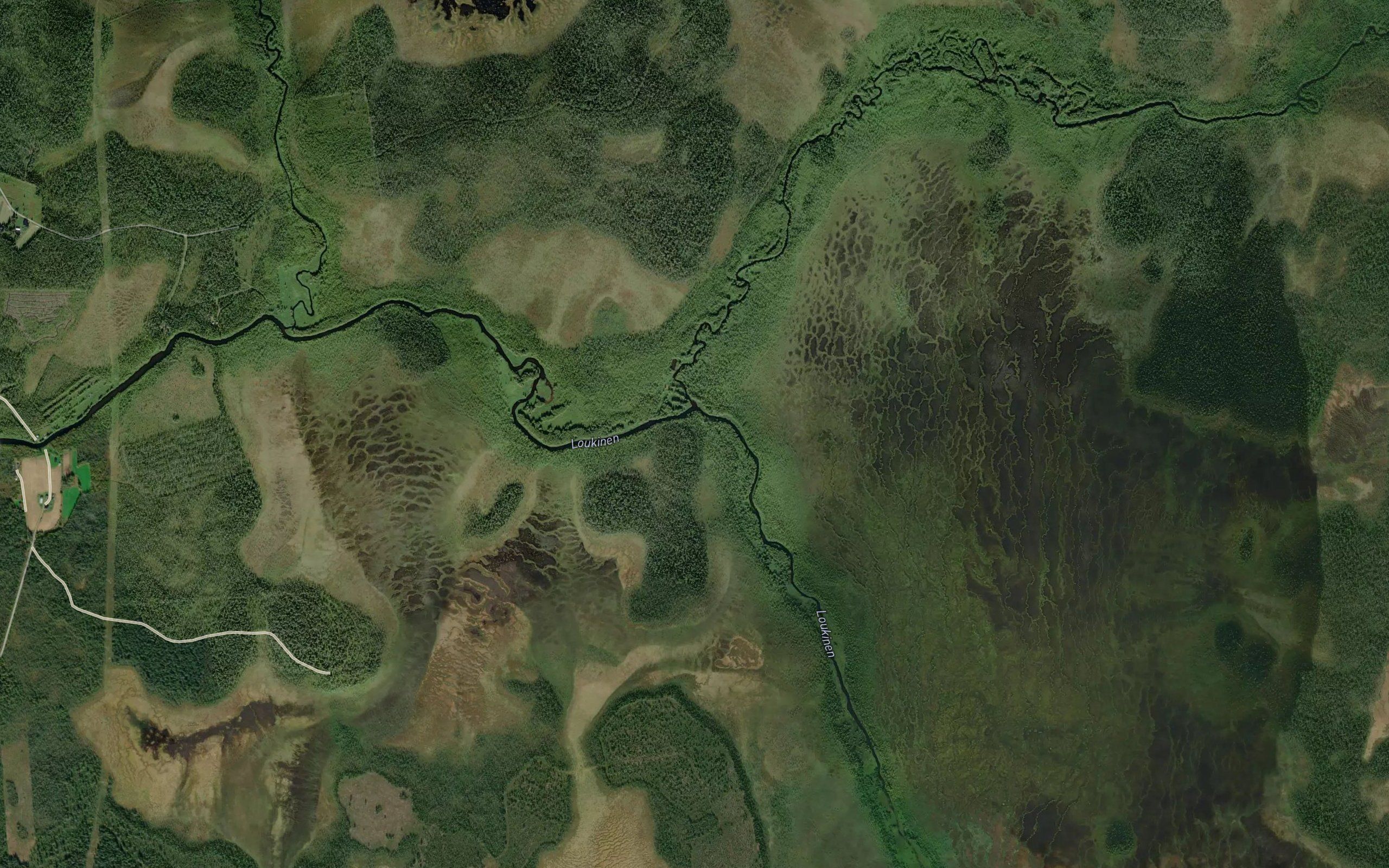 Rourajoki