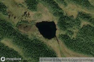 Kiekkisuonlampi