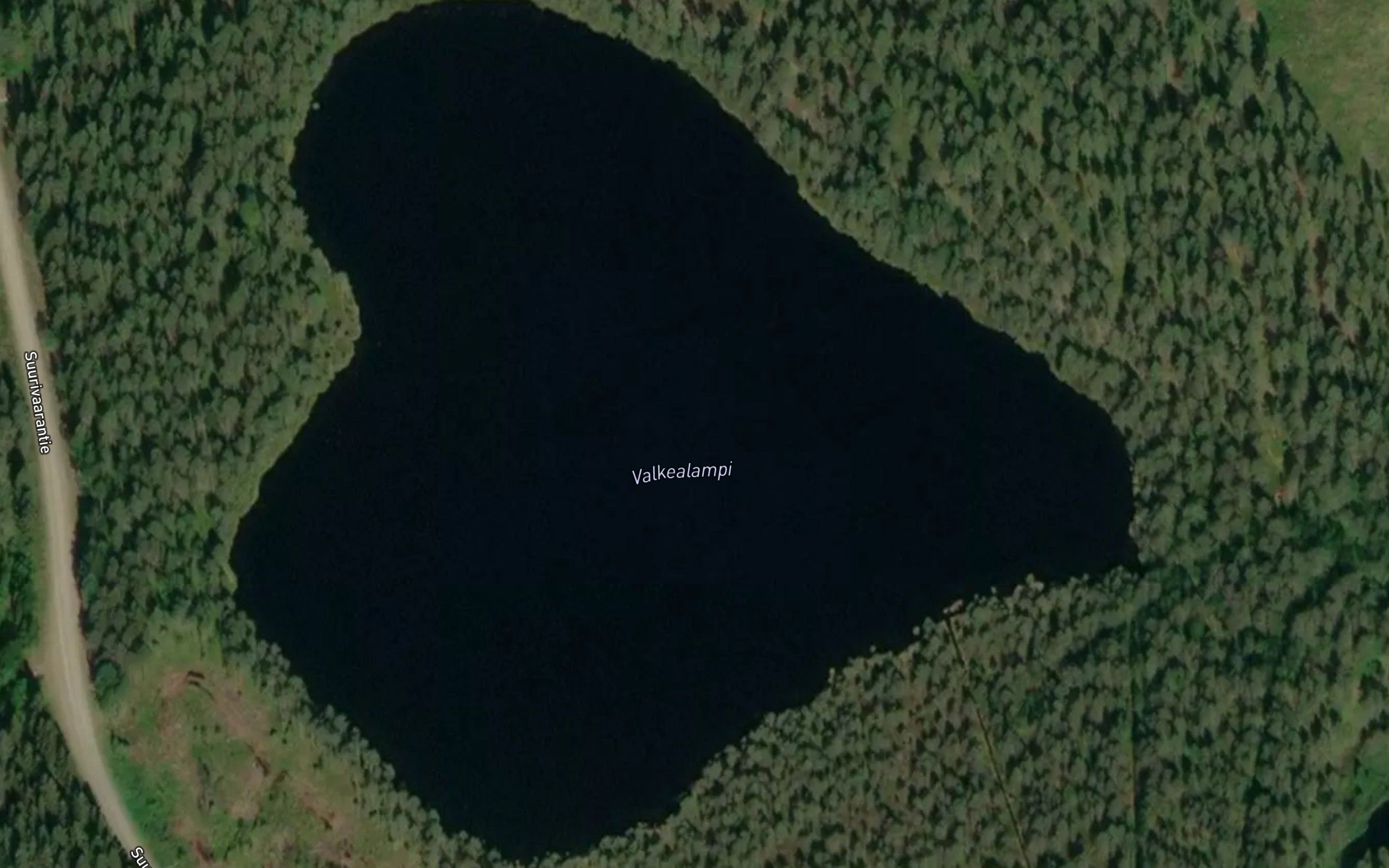 Valkealampi