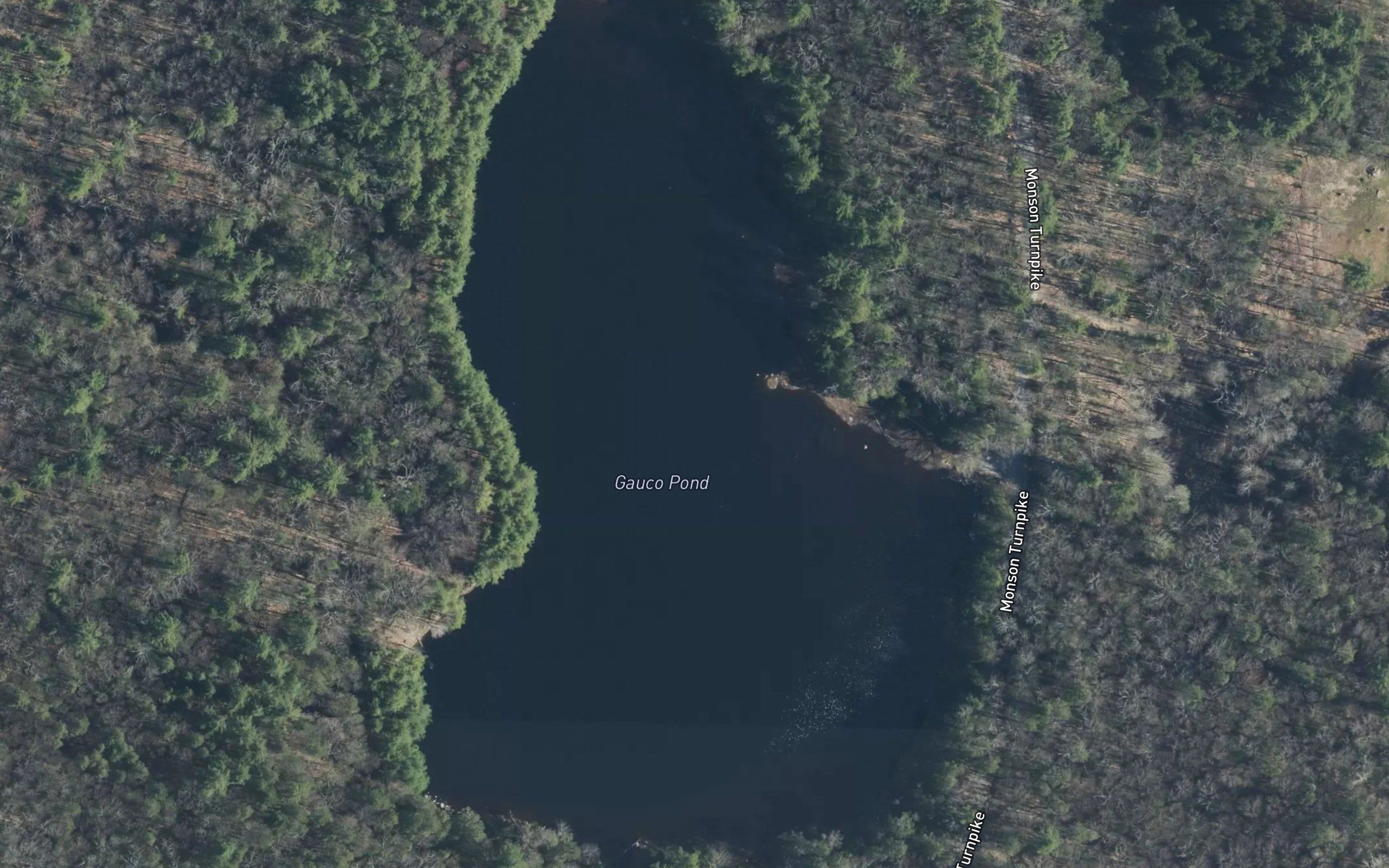 Gauco Pond