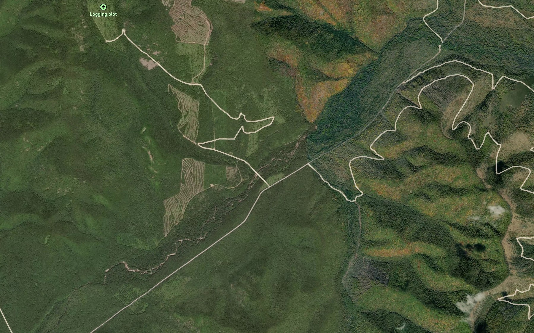 Satellite map of the Neznakomyy