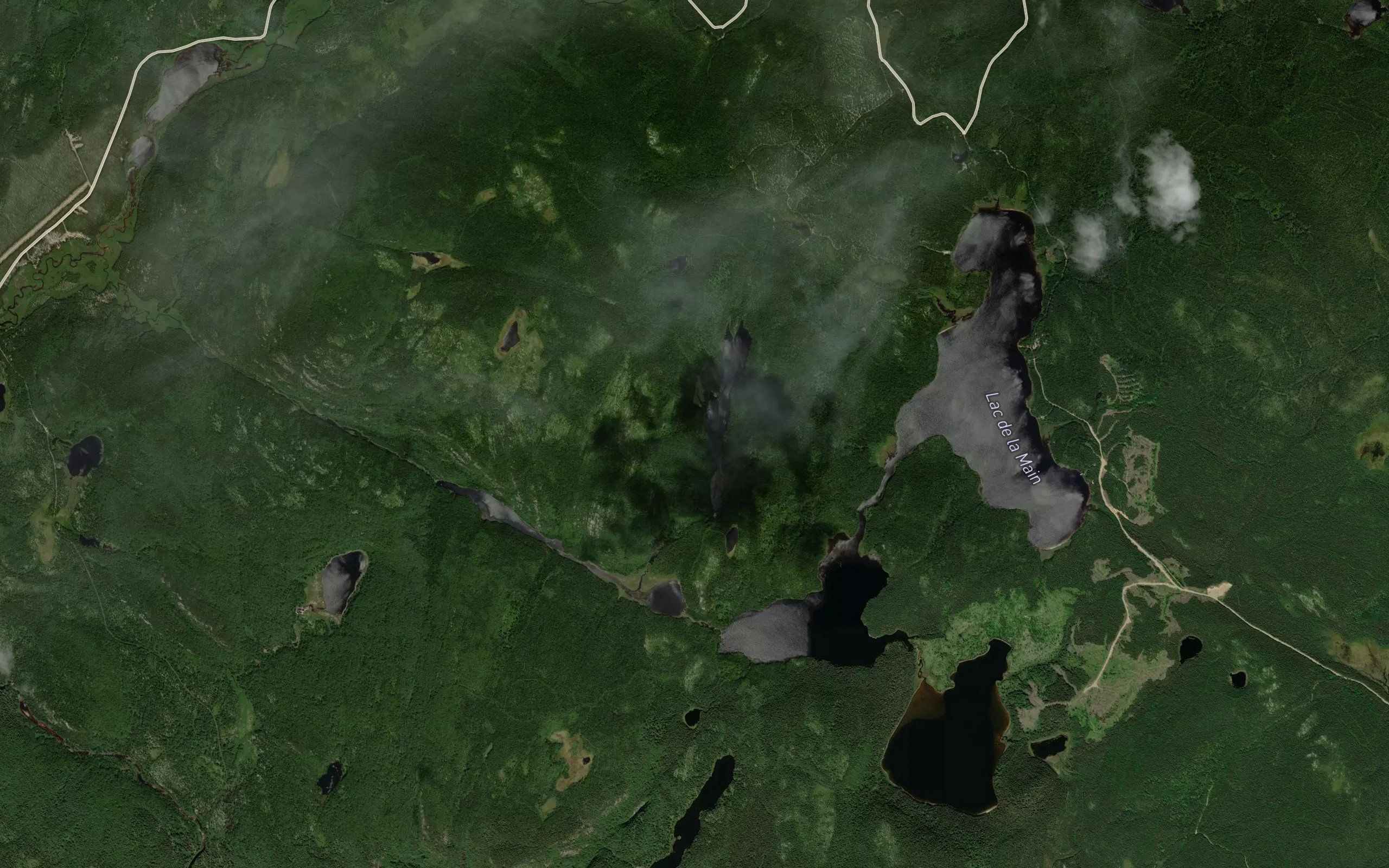 Lac Ribbon