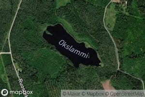 Okslammi