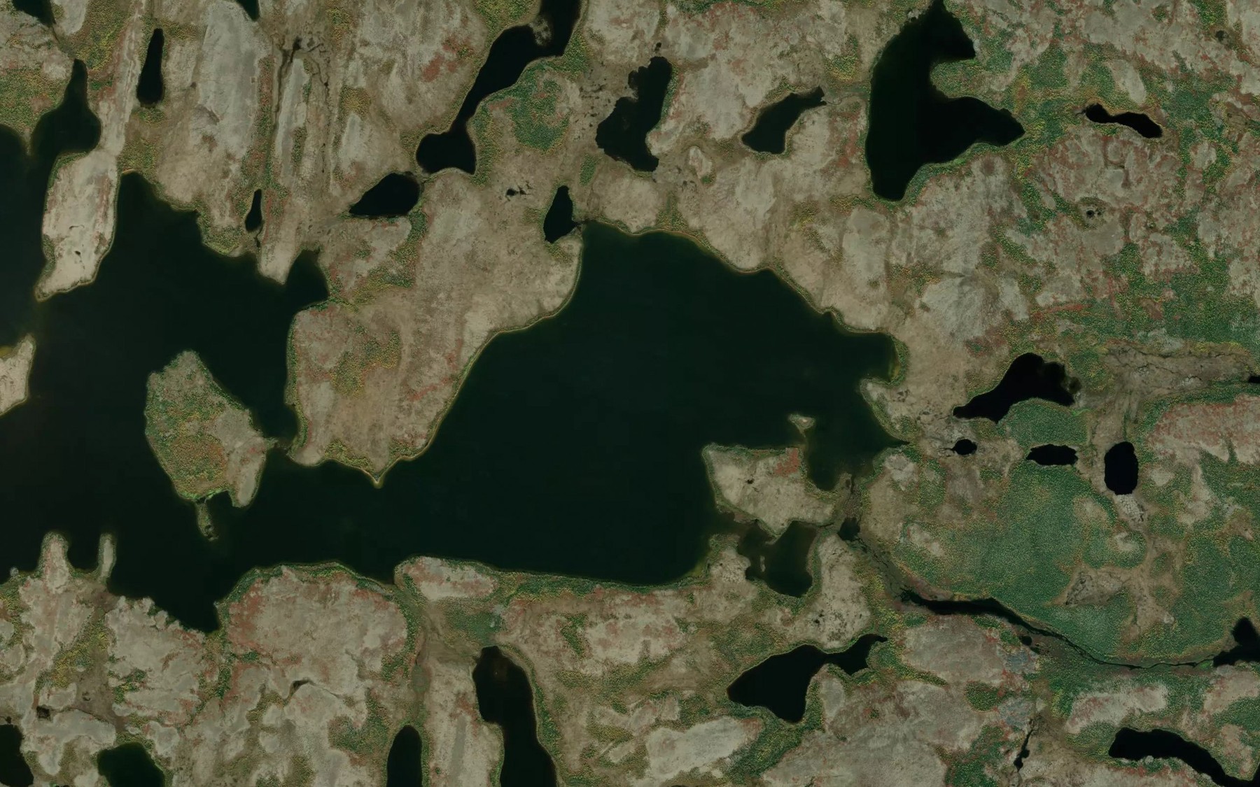Satellite map of the Pearson Bay