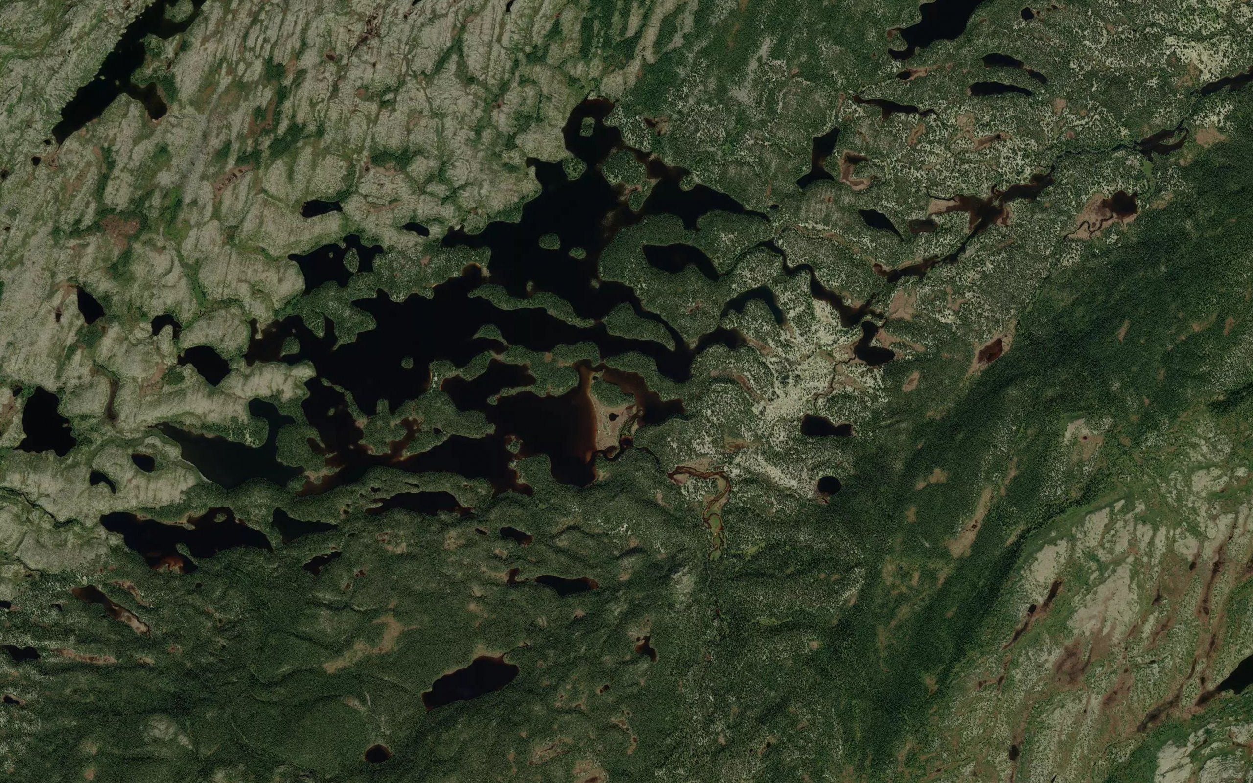 Ruisseau du Pied de Coq