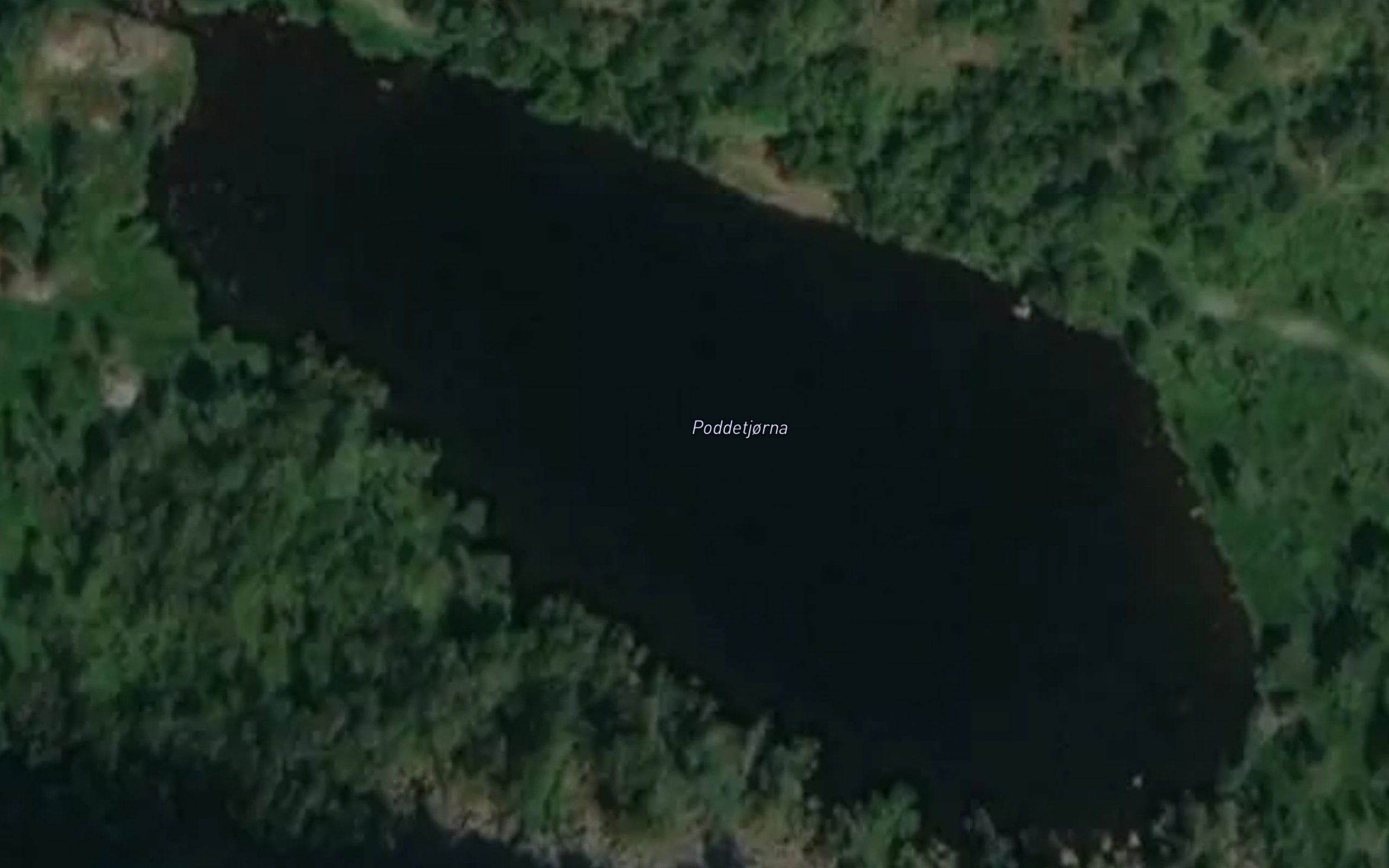 Poddetjorna