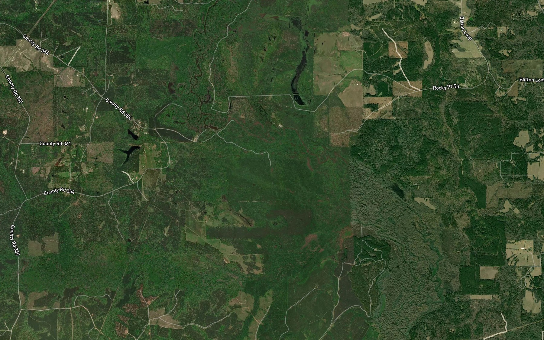 Satellite map of the Black Lake