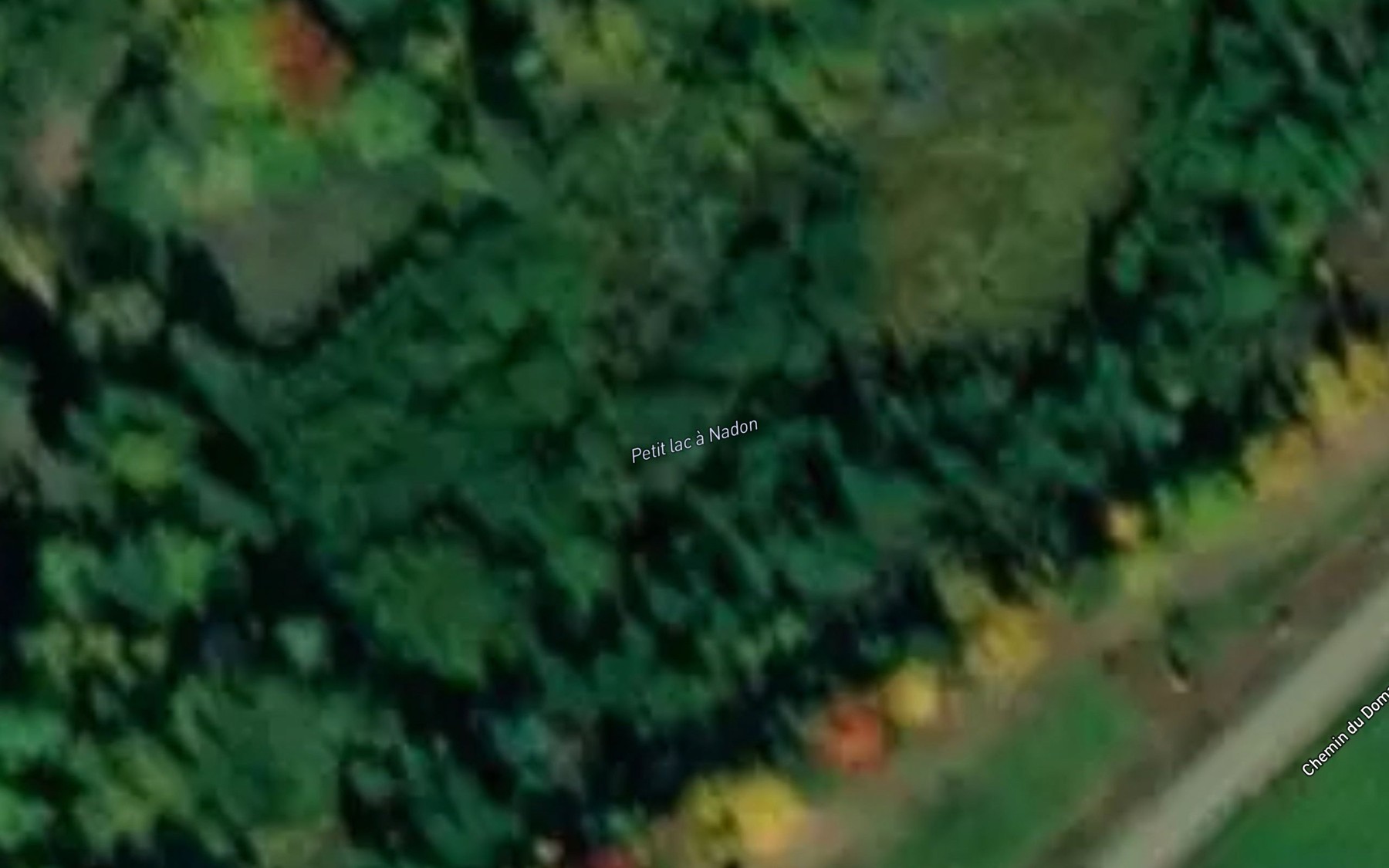 Satellite map of the Petit lac a Nadon