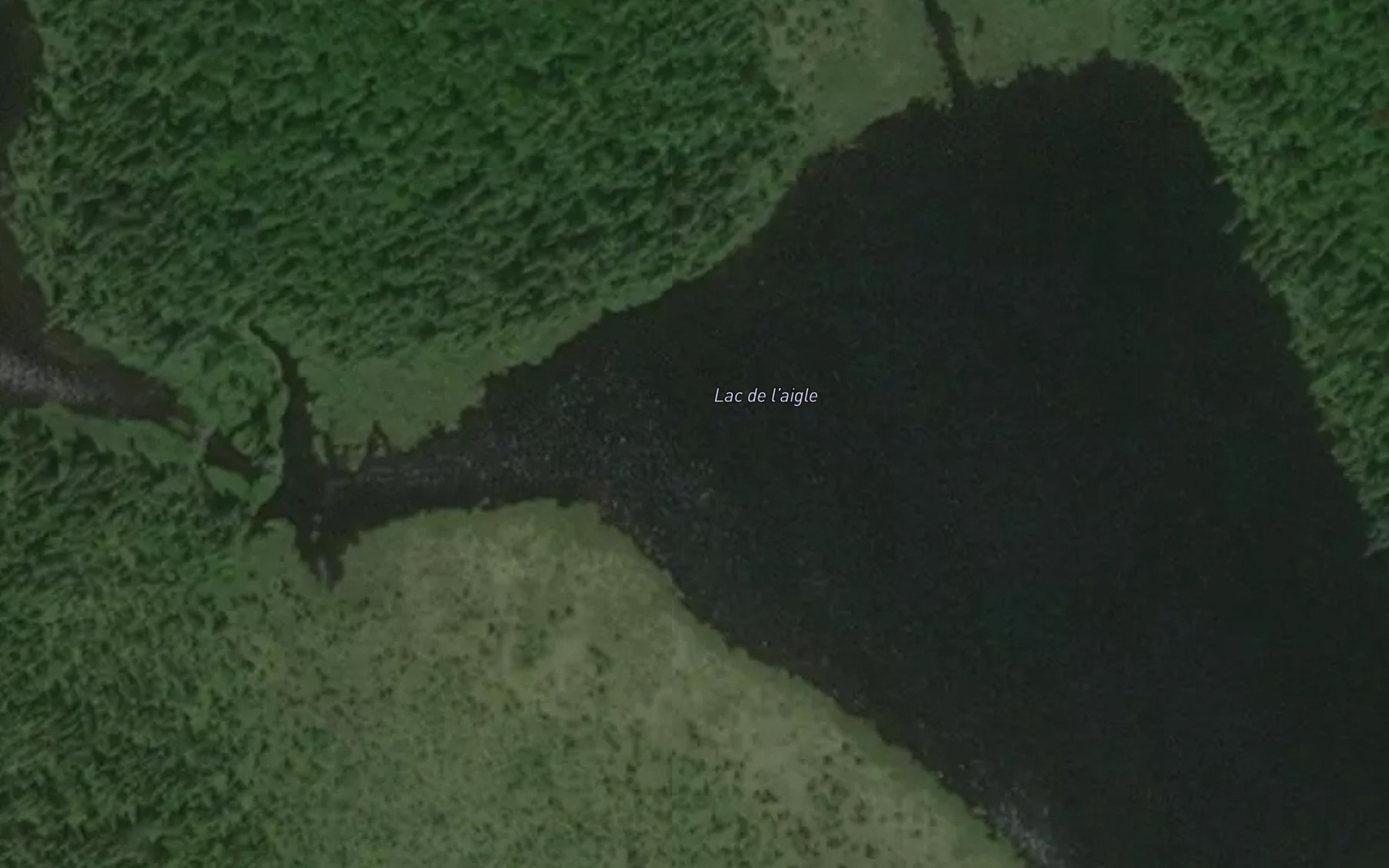 Satellite map of the Lac de l'Aigle