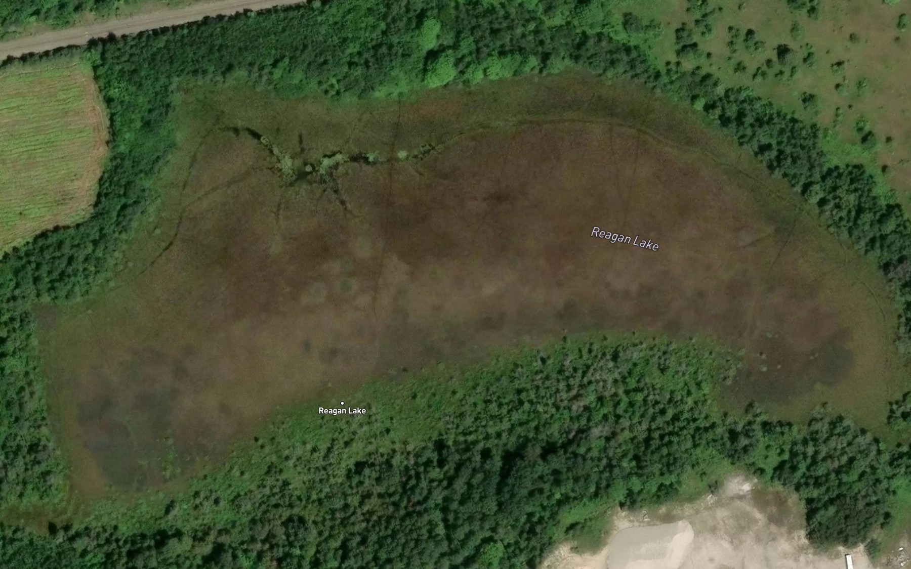 Satellite map of the Reagan Lake