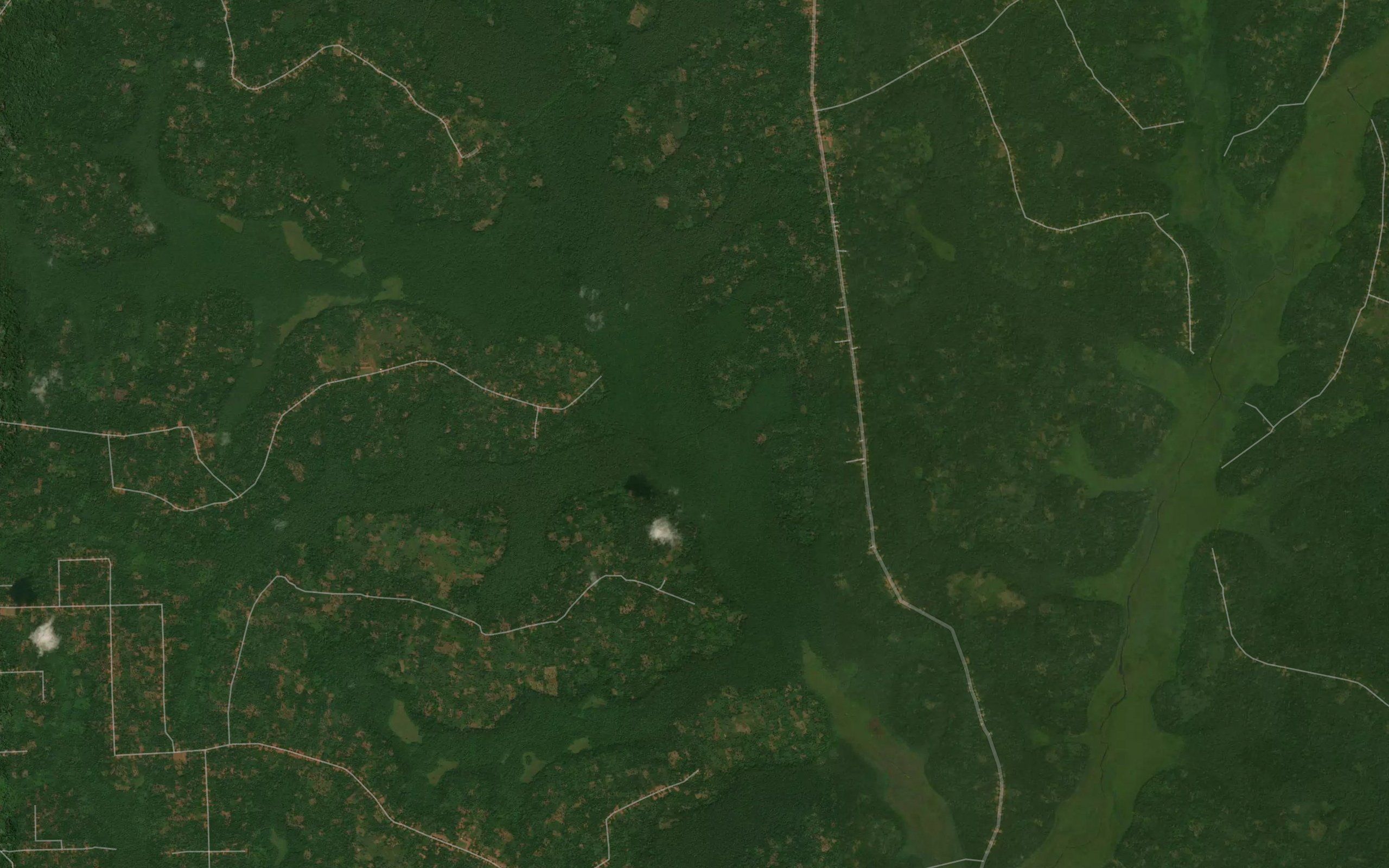 Ayau