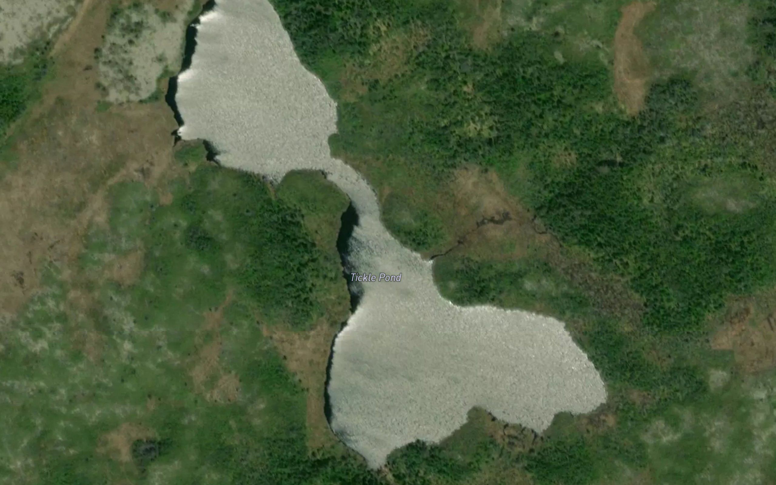 Tickle Pond