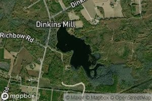 Dinkins Millpond