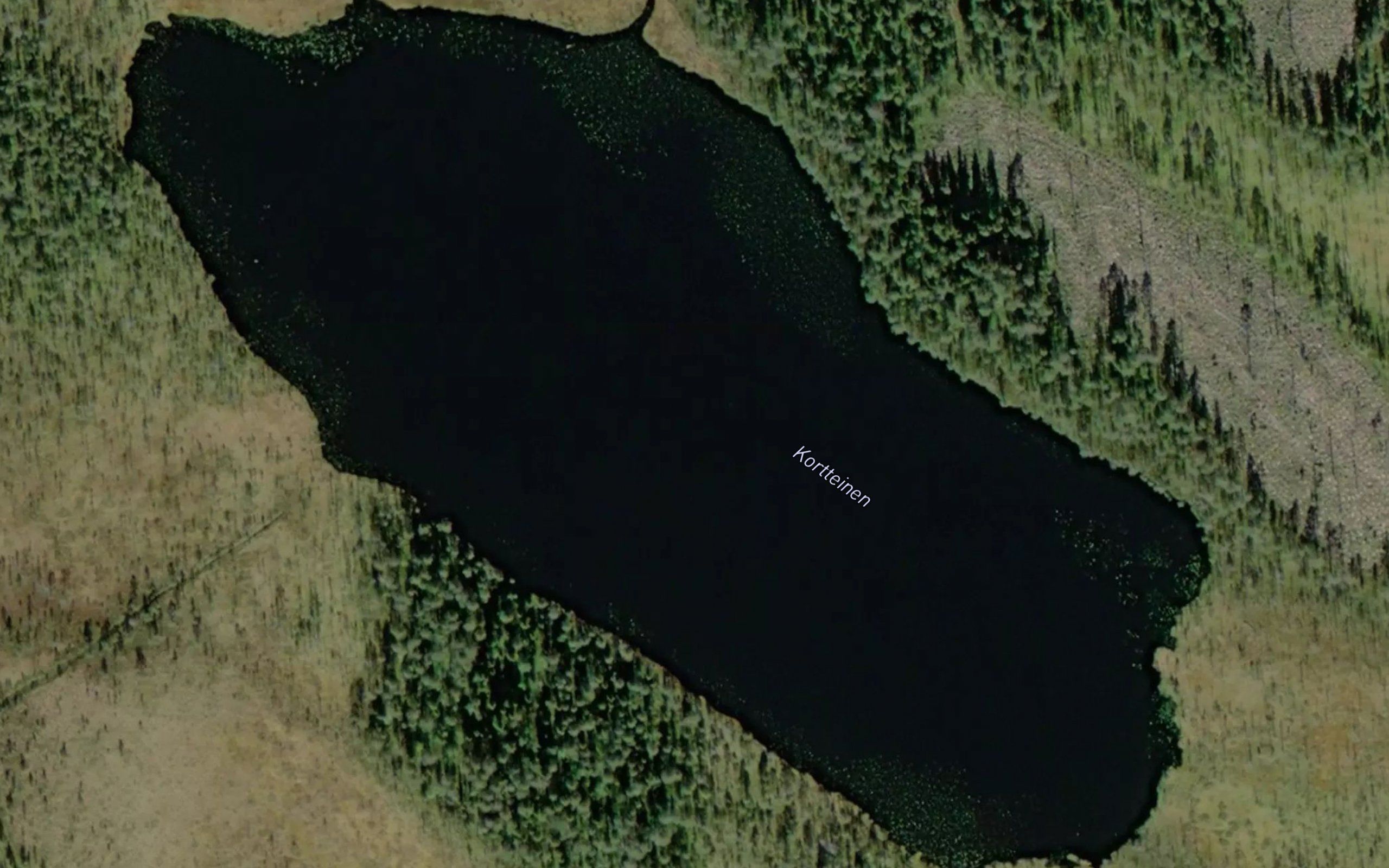 Kortteinen