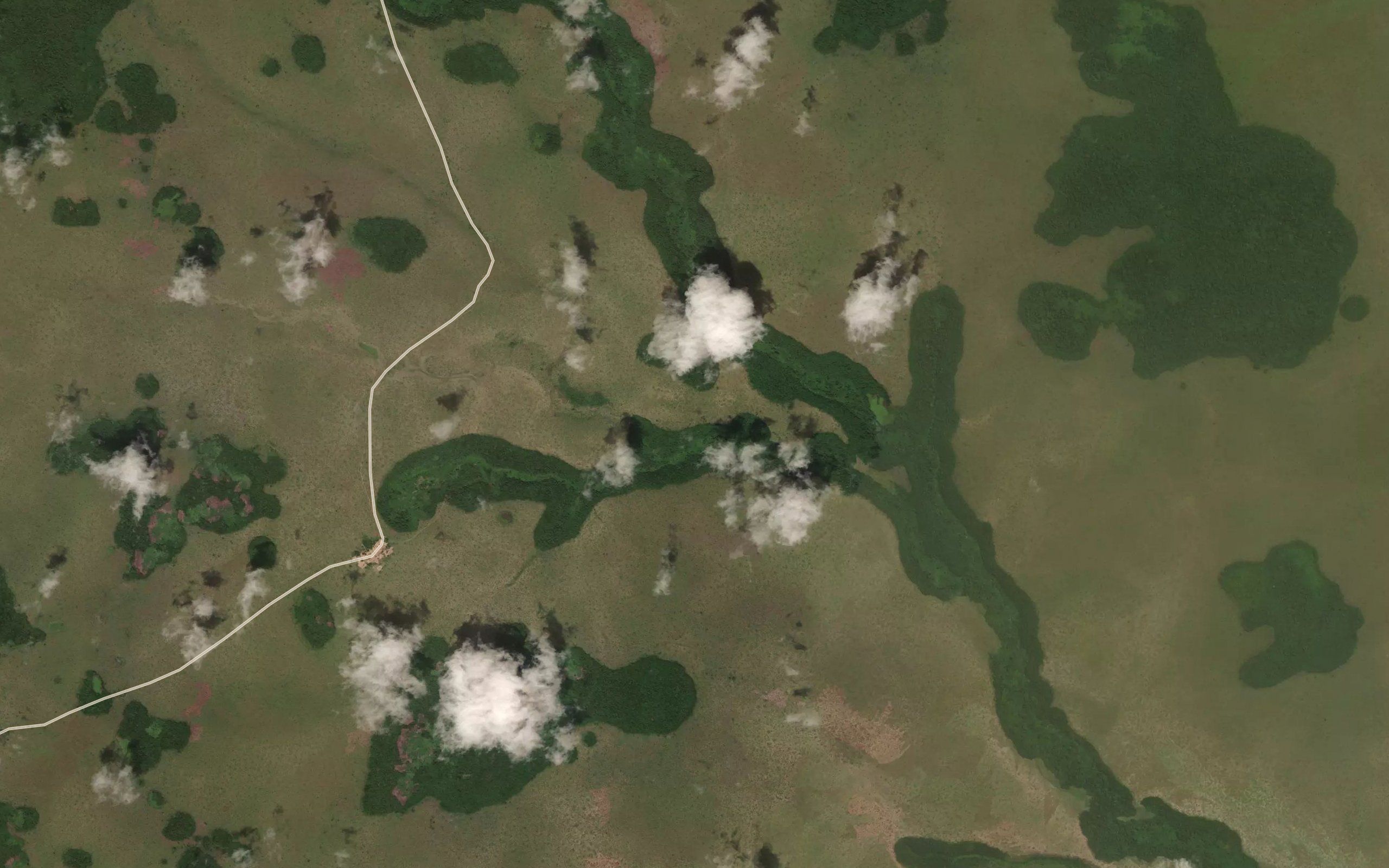 Nsankoli