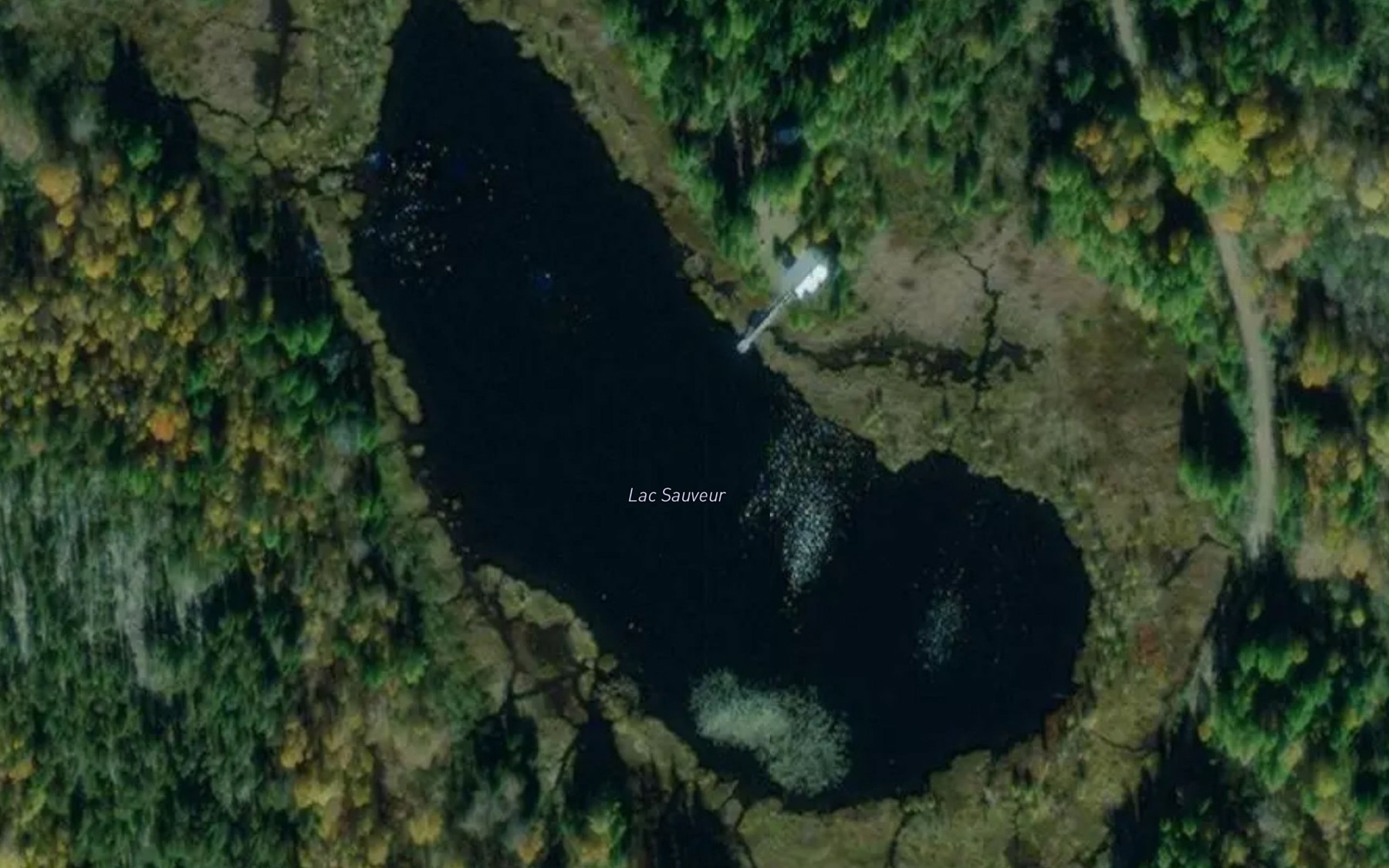Satellite map of the Lac Sauveur