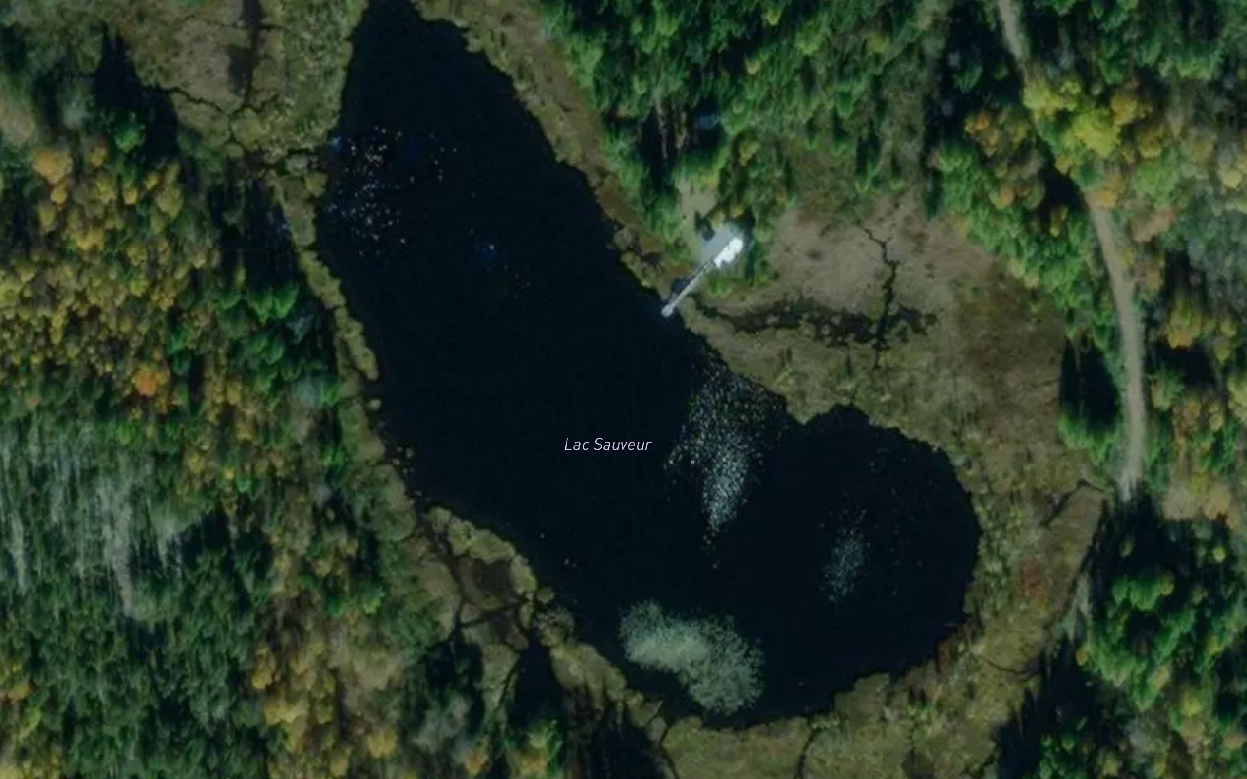 Lac Sauveur