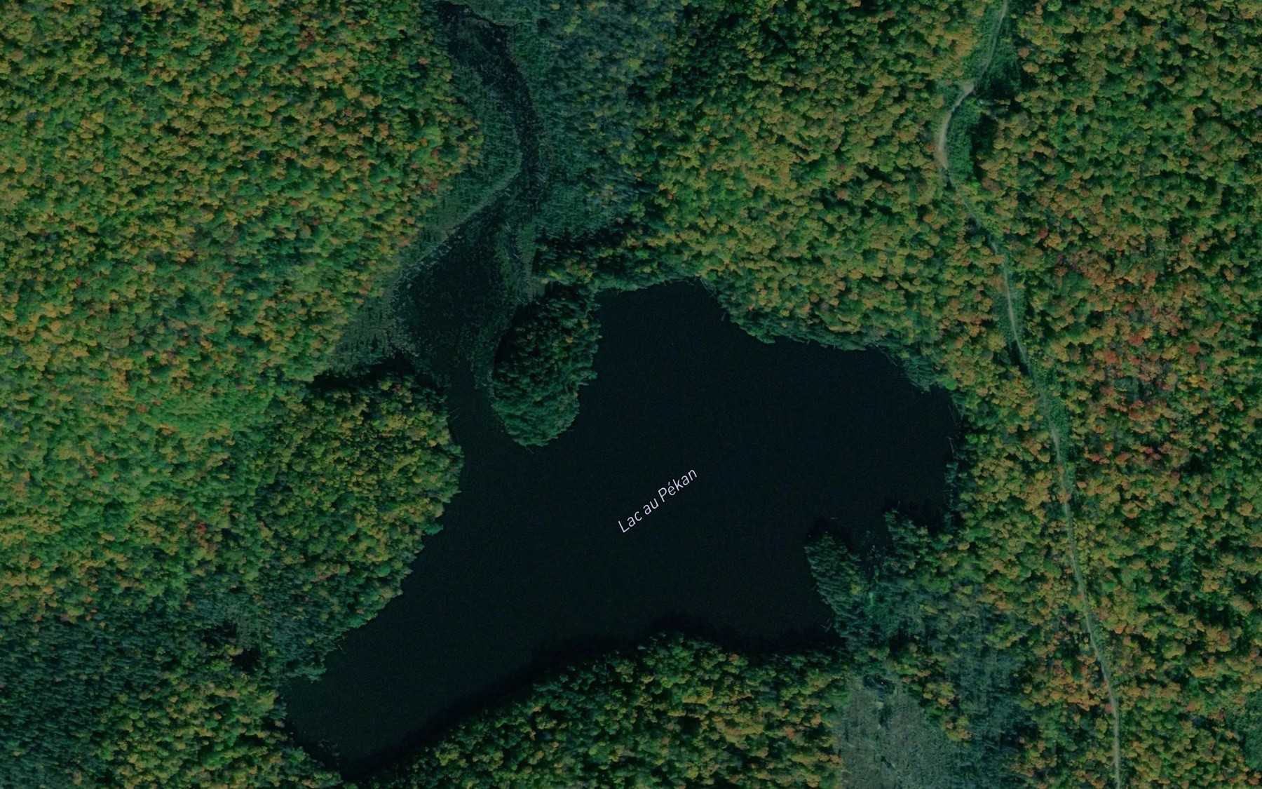 Satellite map of the Lac au Pekan