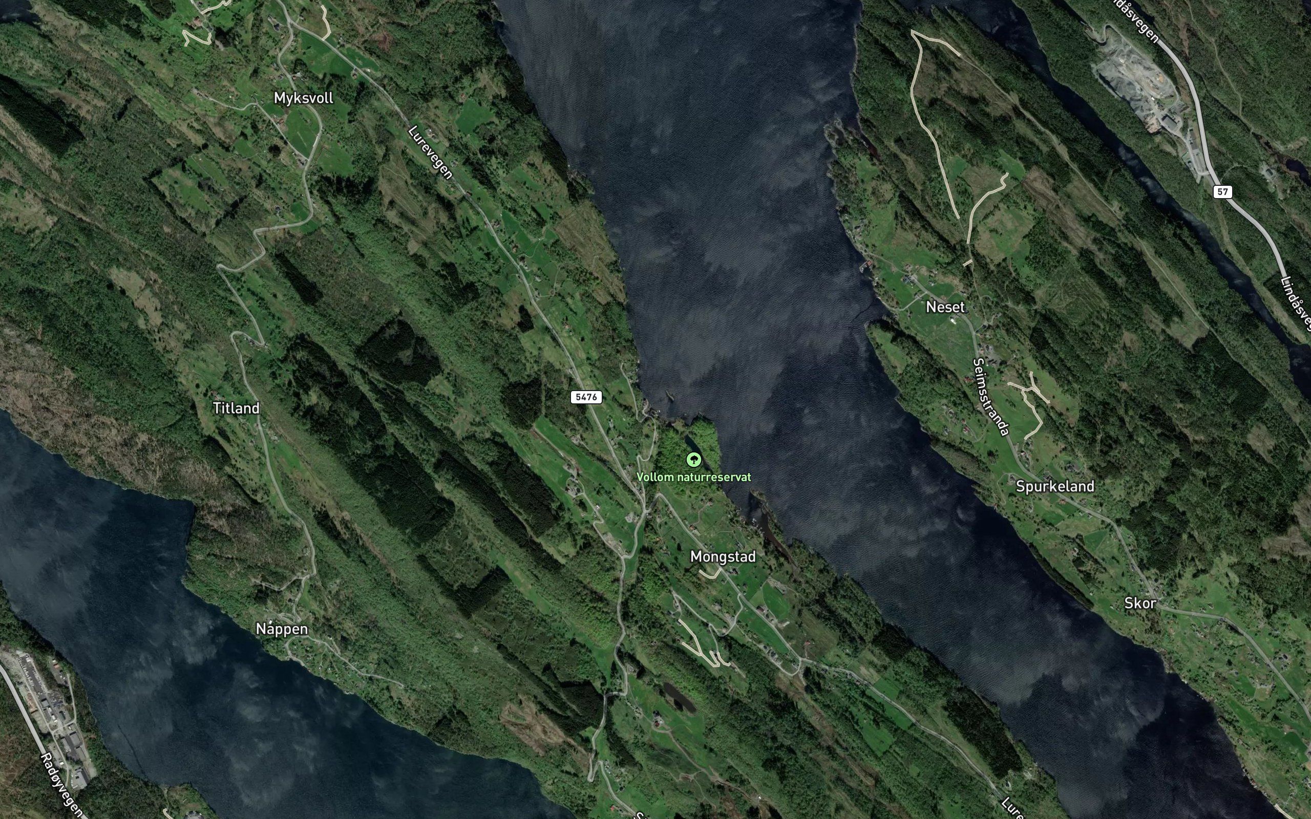 Valleviki