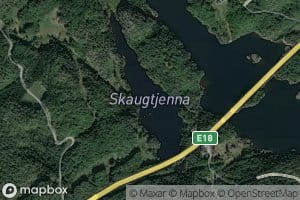 Skaugtjenna