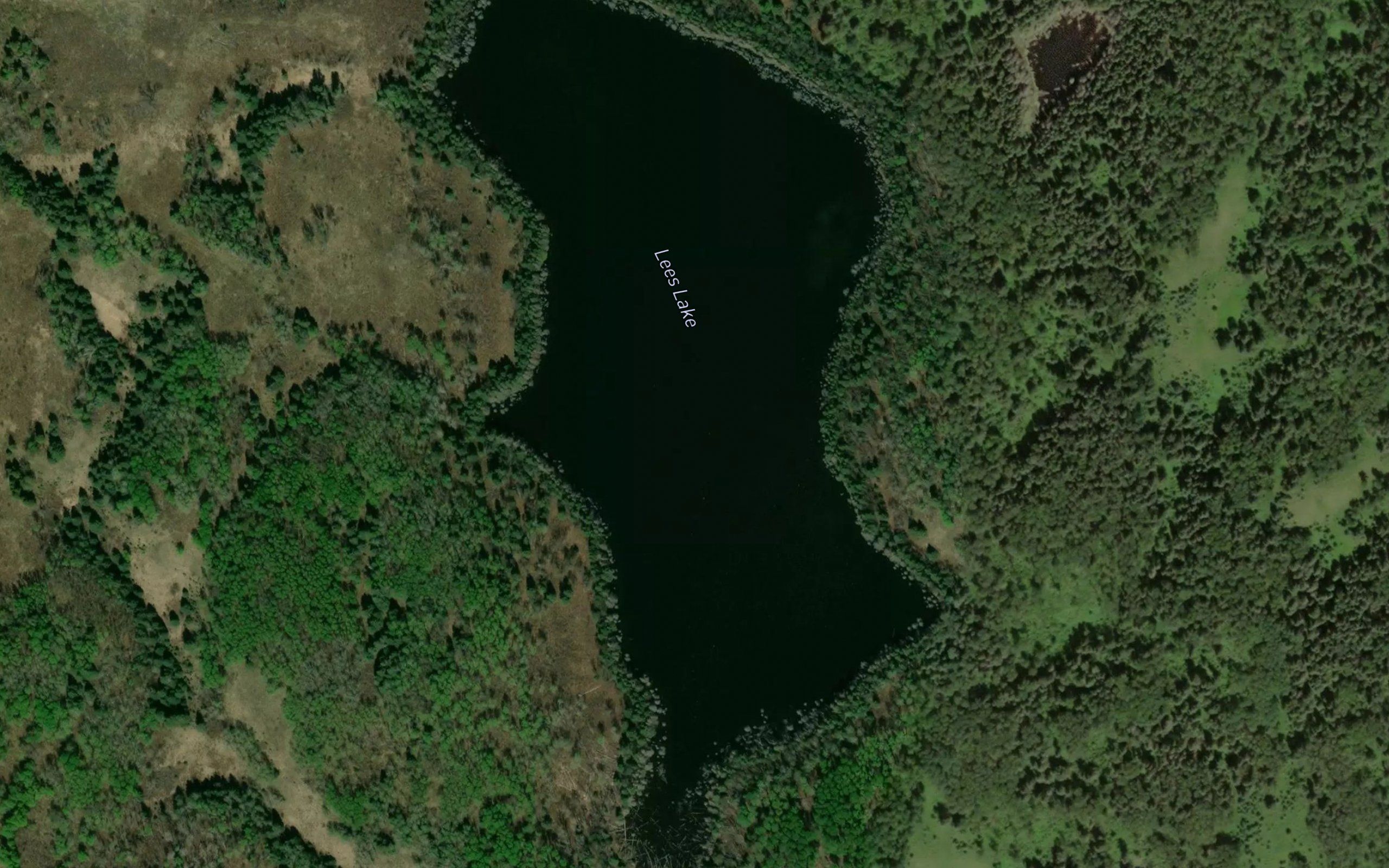 Lees Lake