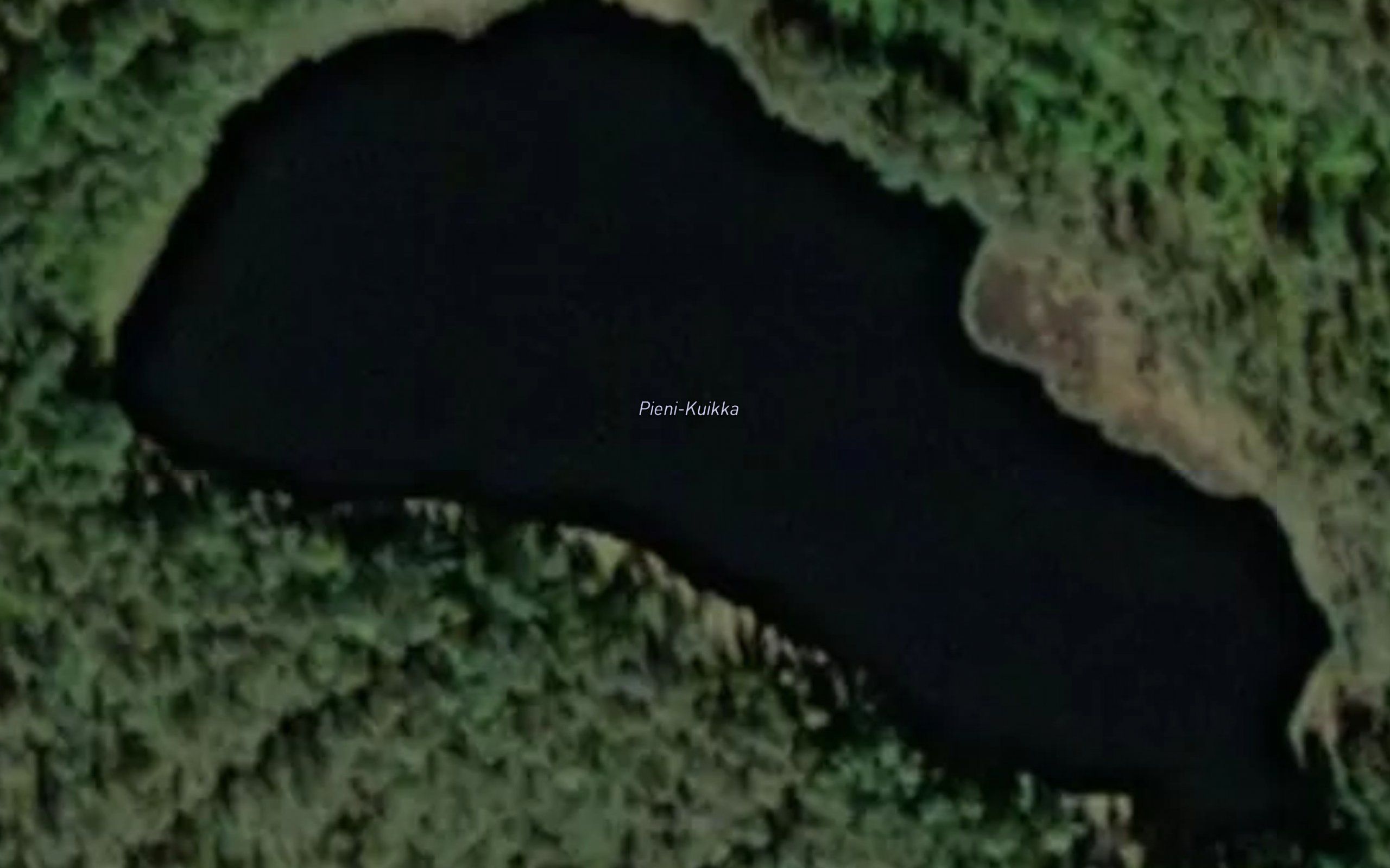 Pieni-Kuikka