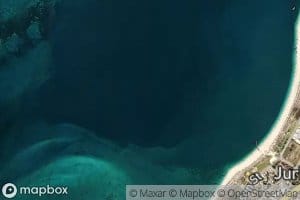 Wire Reef