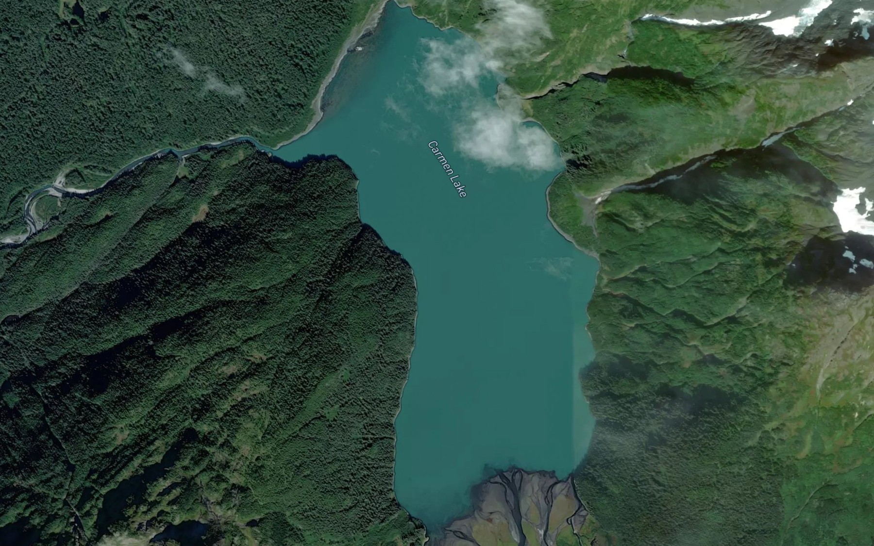 Satellite map of the Carmen Lake