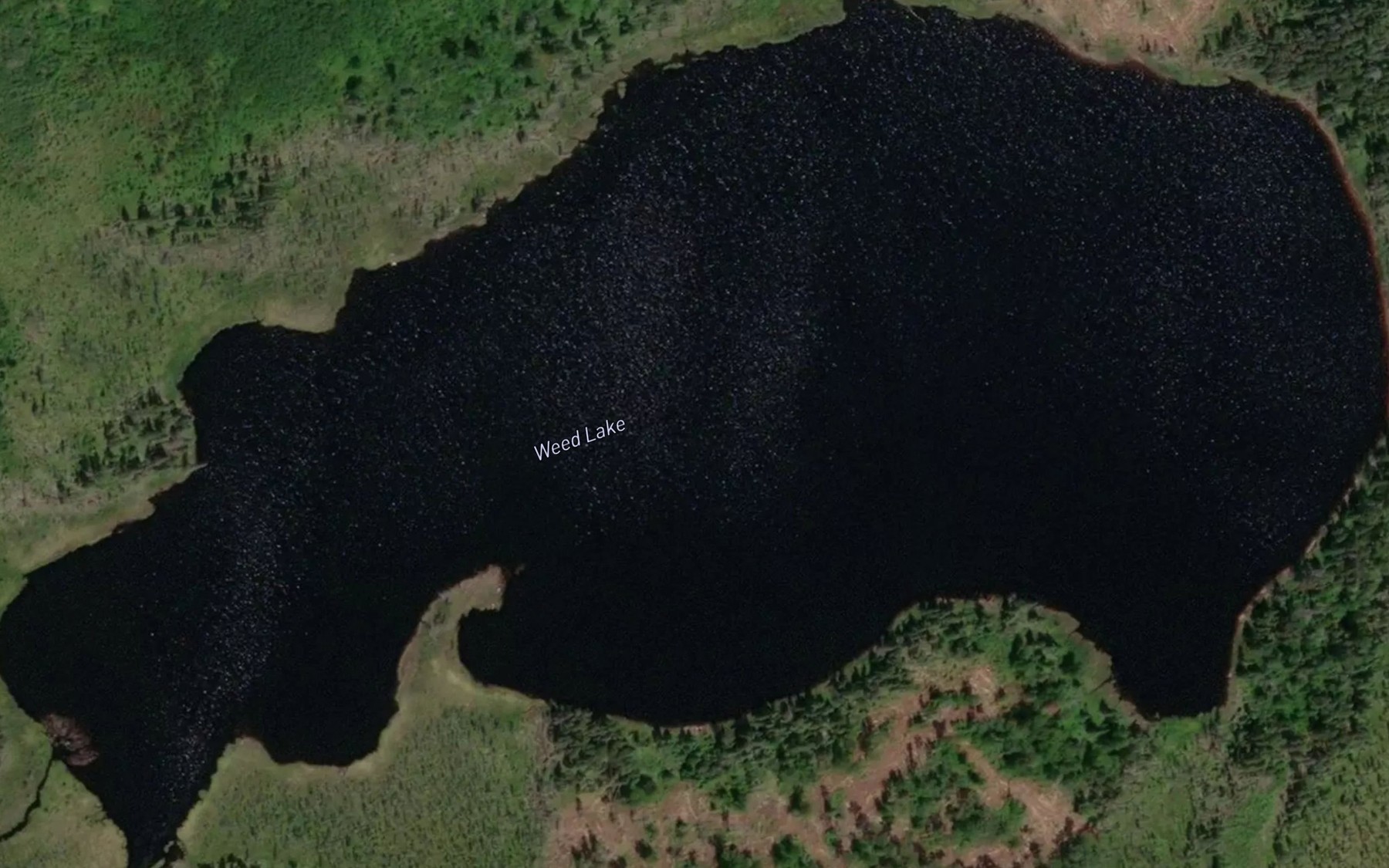 Satellite map of the Weed Lake